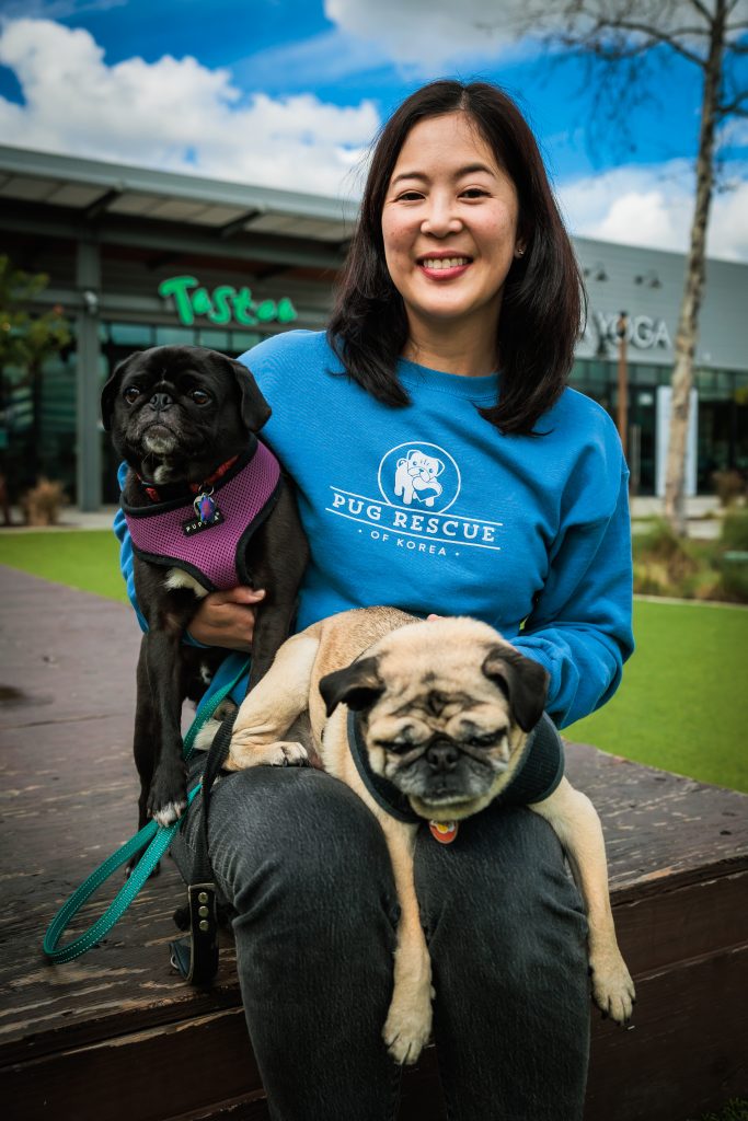 Long Beach-based nonprofit flies pugs to their forever homes